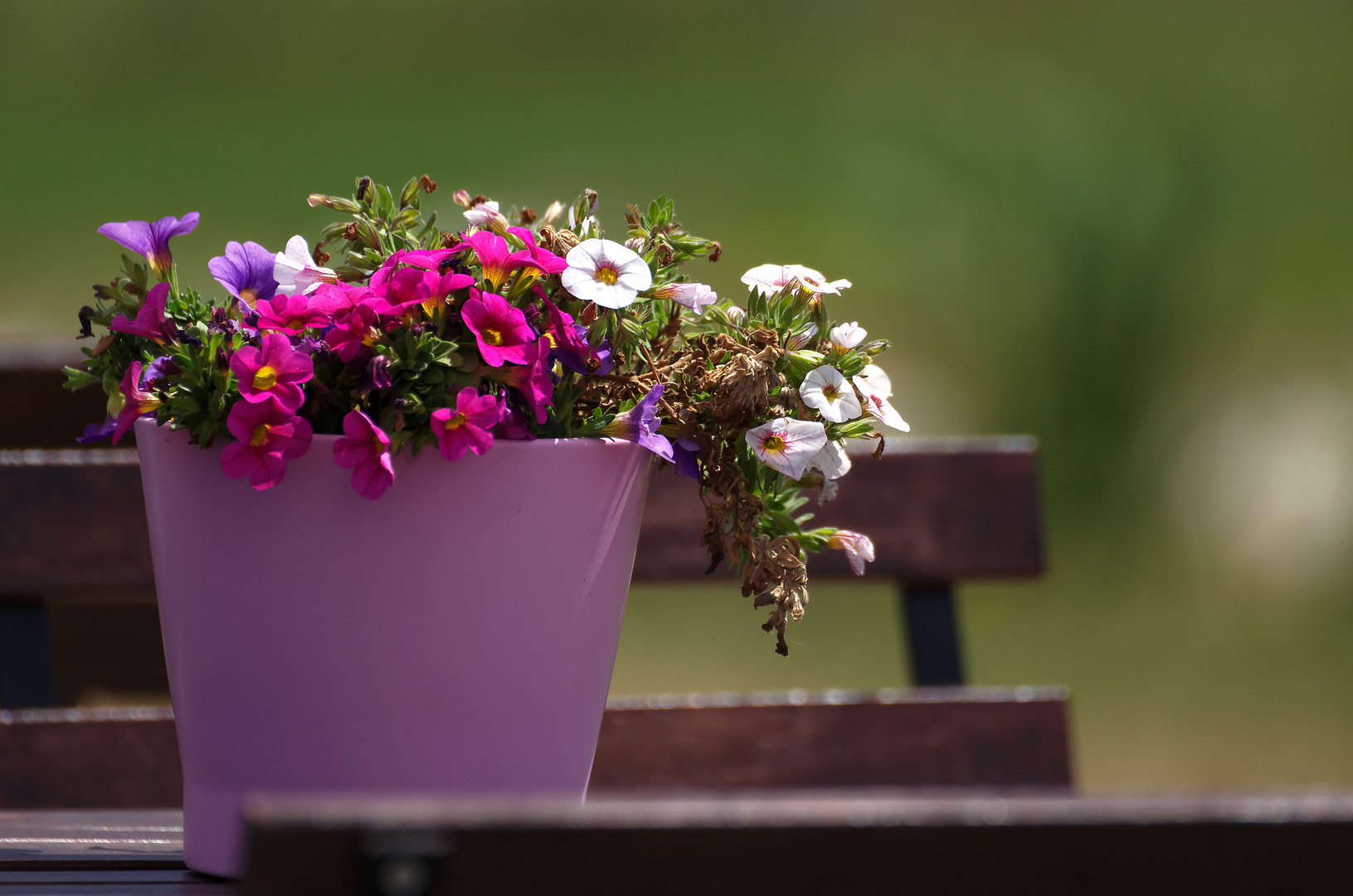 Tischschmuck beim Fischer Fritz, Gartenschau Tirschenreuth, Juli 2013