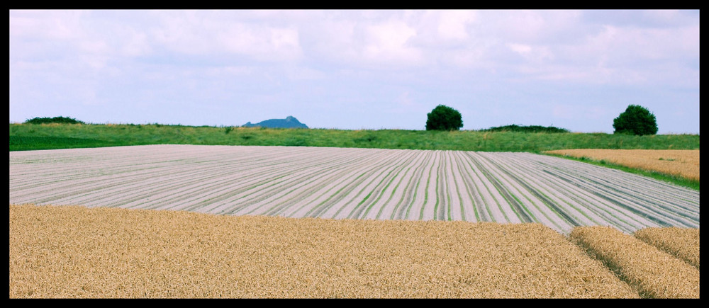 Tissage