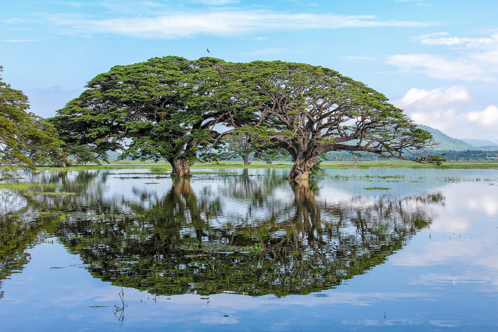 Tissamaharama, Sri Lanka