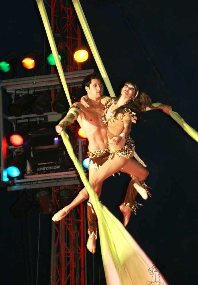 tissus aerien au cirque Pinder