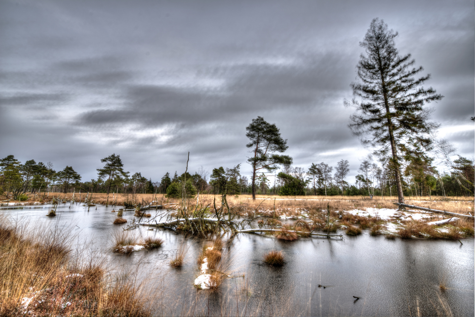 Tister Bauernmoor Foto & Bild | landschaft, moor, hdr Bilder auf