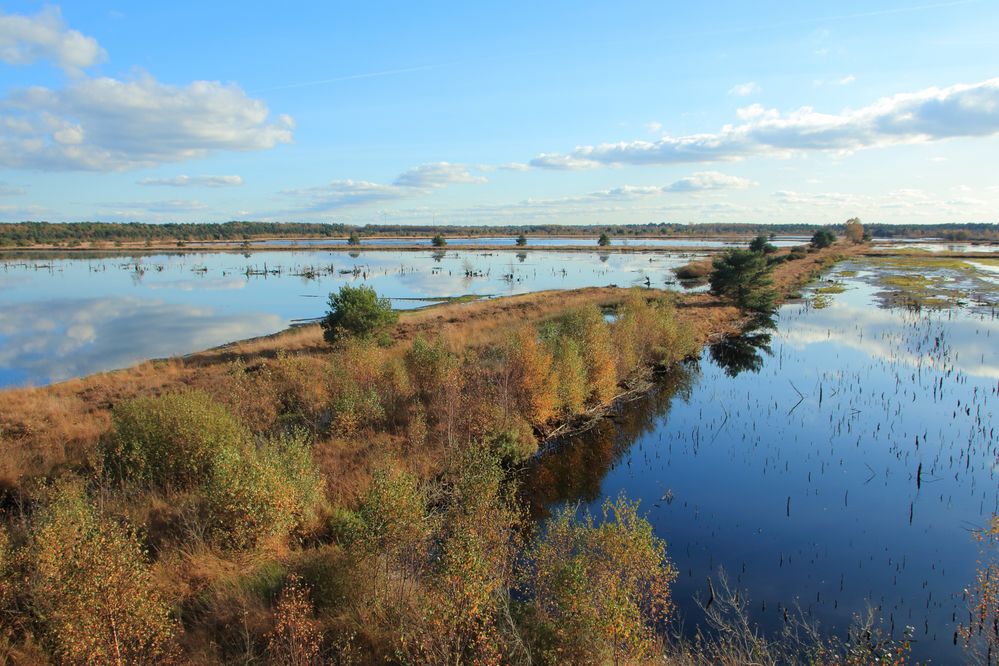 Tister Bauernmoor Foto & Bild | landschaft, moor, himmel Bilder auf