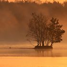 Tister Bauernmoor bei Sonnenaufgang im Nebel