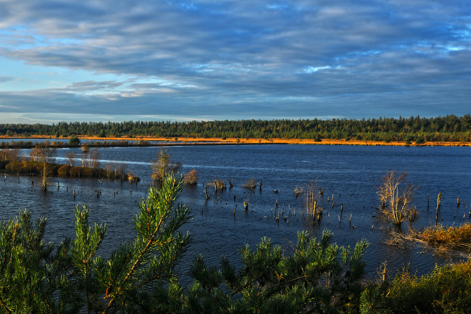 Tister Bauernmoor - Das Ufer