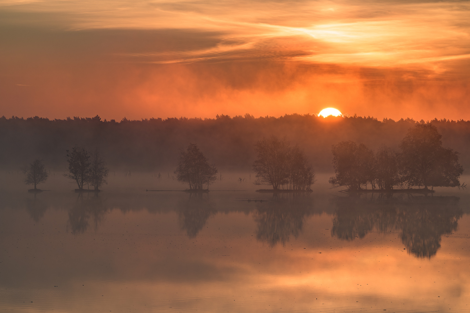 Tister Bauernmoor die Sonne kommt