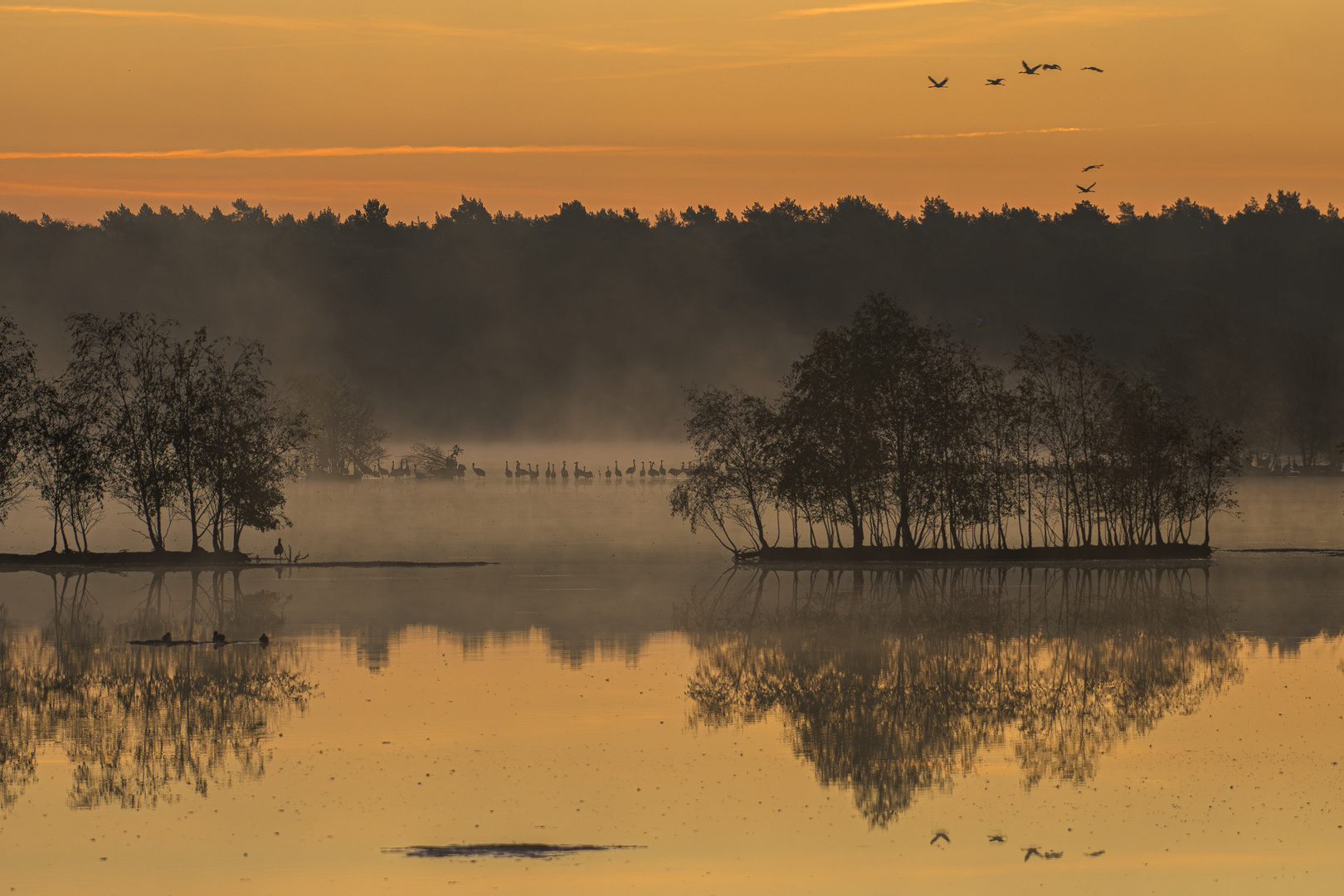 Tister Bauernmoor goldene Stimmung