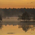 Tister Bauernmoor goldene Stimmung