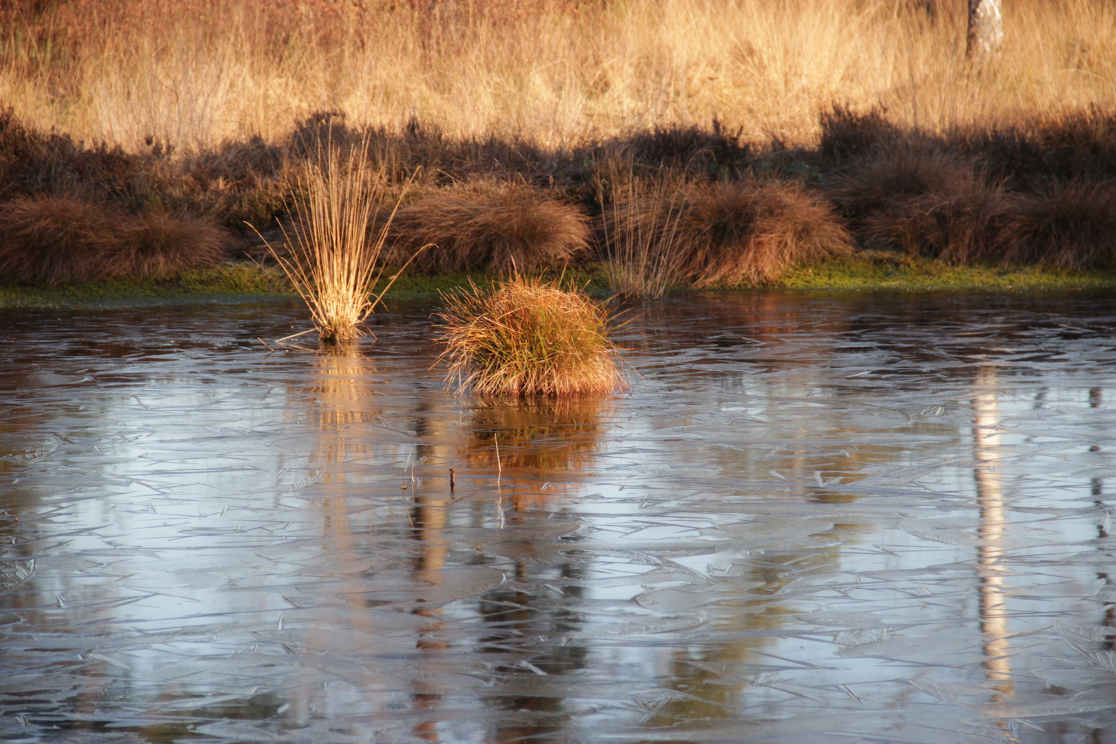 Tister Bauernmoor im Winter