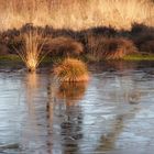 Tister Bauernmoor im Winter