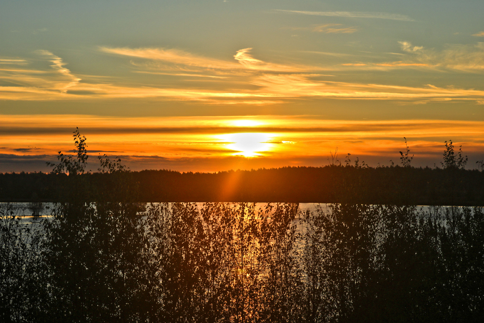 Tister Bauernmoor - Morgensonne am Horizont