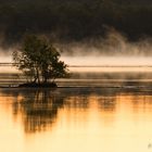 Tister Bauernmoor - Morgenspiegelung