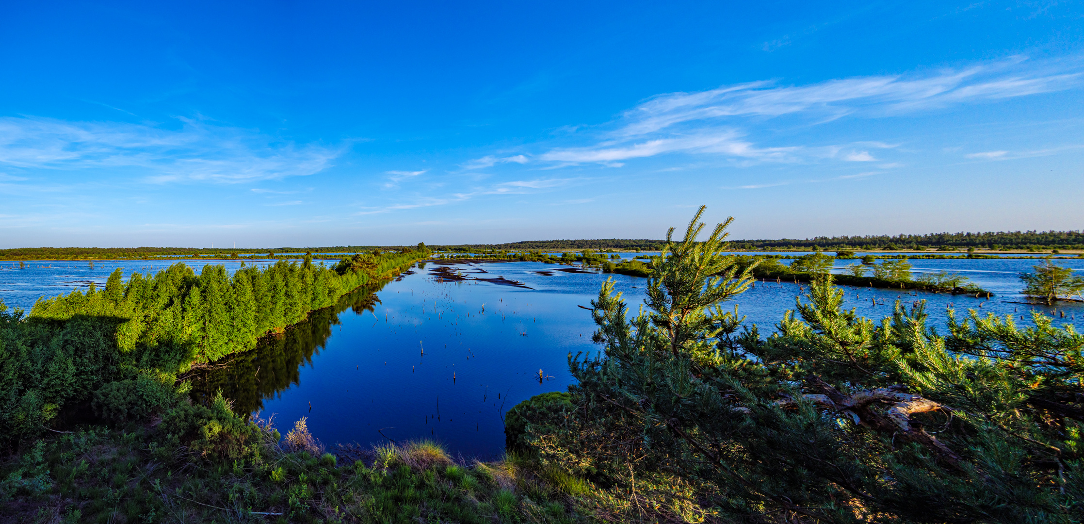 Tister Bauernmoor - Südblick am Abend