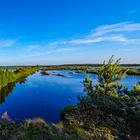 Tister Bauernmoor - Südblick am Abend