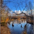 Tister Moor in Blau