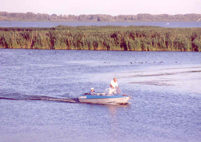 Tisza-tó