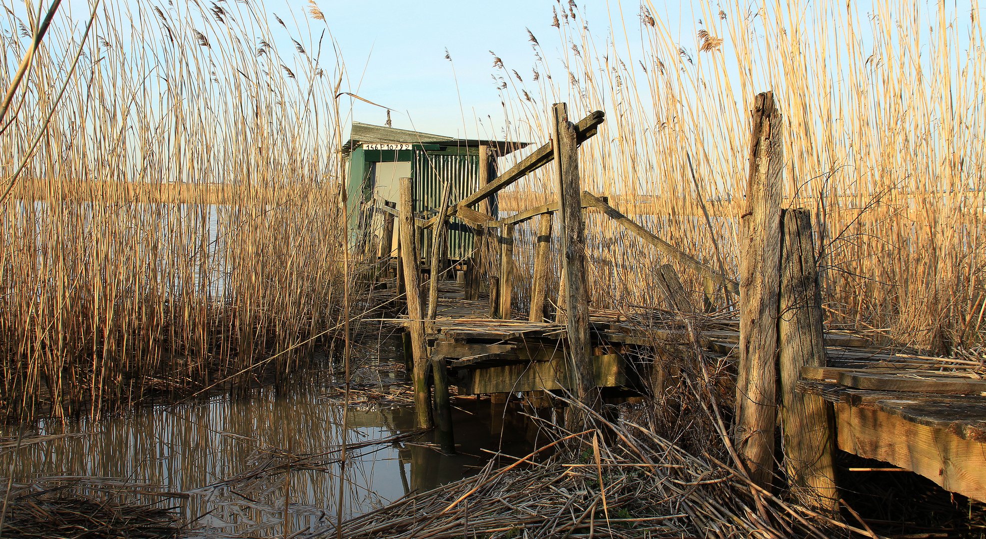 tit cabane