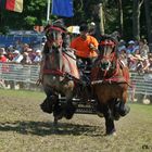 Titanen der Rennbahn 2010