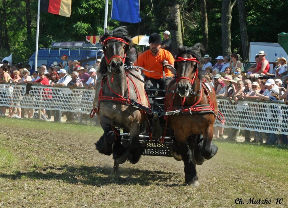 Titanen der Rennbahn 2010