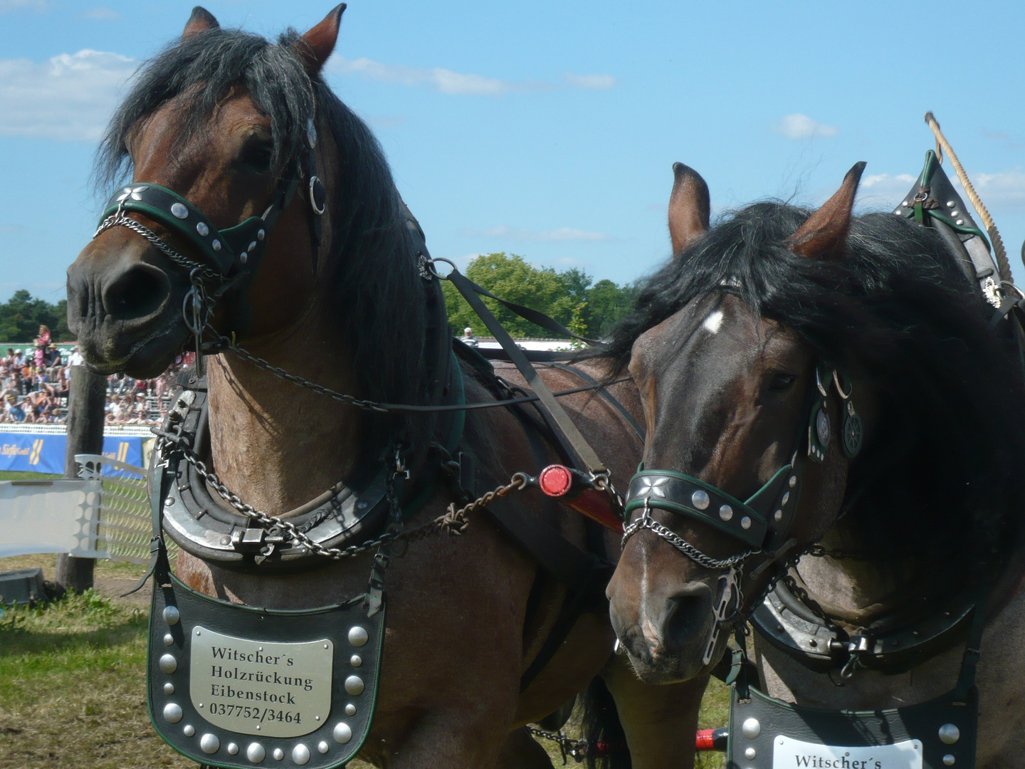 Titanen der Rennbahn 2010