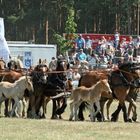 Titanen der Rennbahn 2010 .