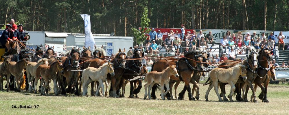 Titanen der Rennbahn 2010 .