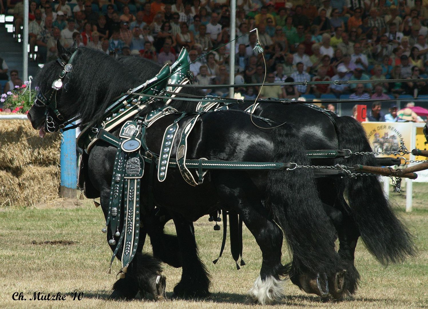 Titanen der Rennbahn 2010 ...