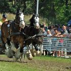 Titanen der Rennbahn 2010 ..