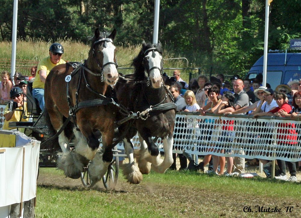 Titanen der Rennbahn 2010 ..