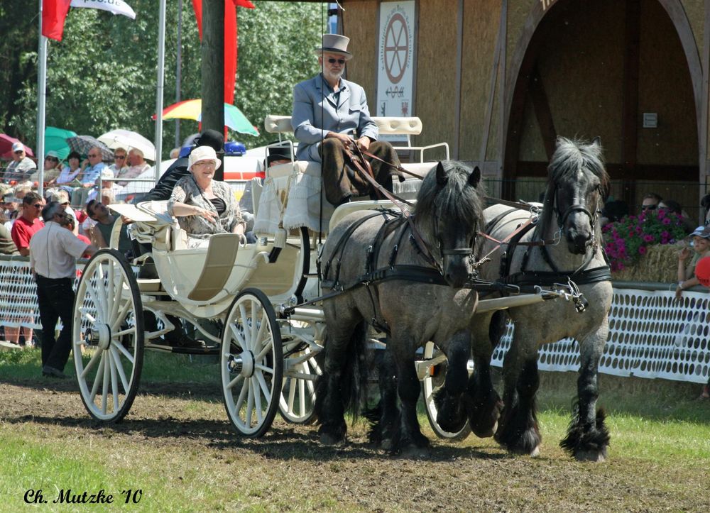 Titanen der Rennbahn 2010 VII