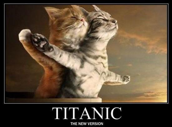 Titanic-cats -