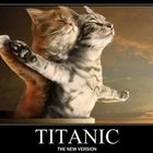 Titanic-cats -