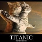 Titanic-cats -