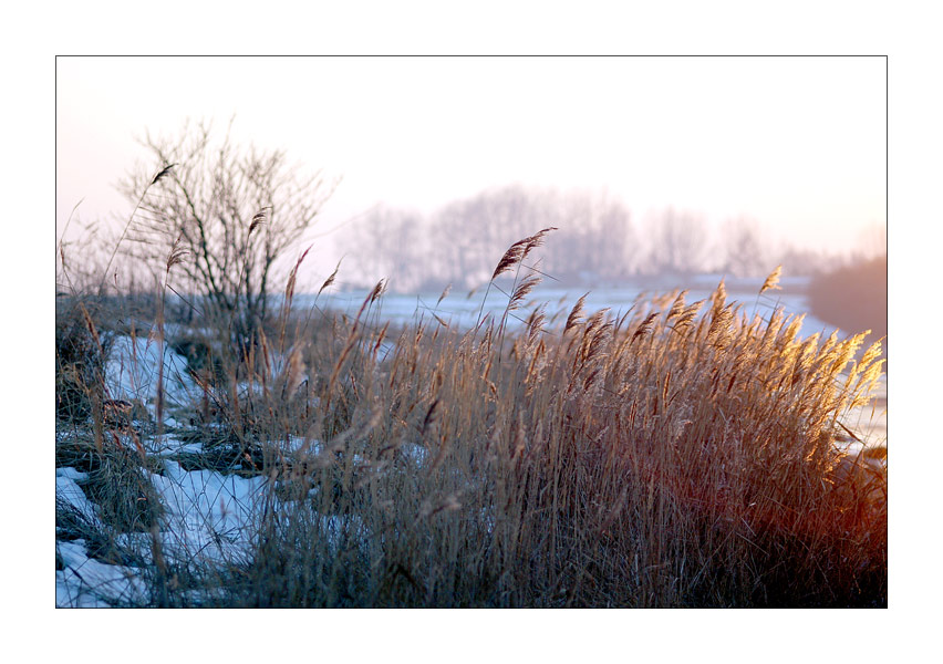 titel zerstören bilder ..........