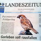 Titelbild Lüneburger Landeszeitung vom 08.02.13