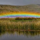 Titicaca  (10)