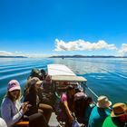 Titicaca (40) 