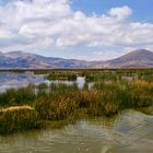 Titicaca See