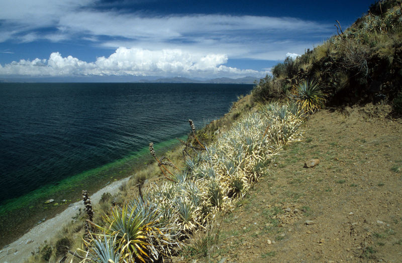 Titicaca-See - Isla del Sol - Bolivien