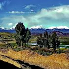 Titicaca See,  Laguna Wiñaymarka