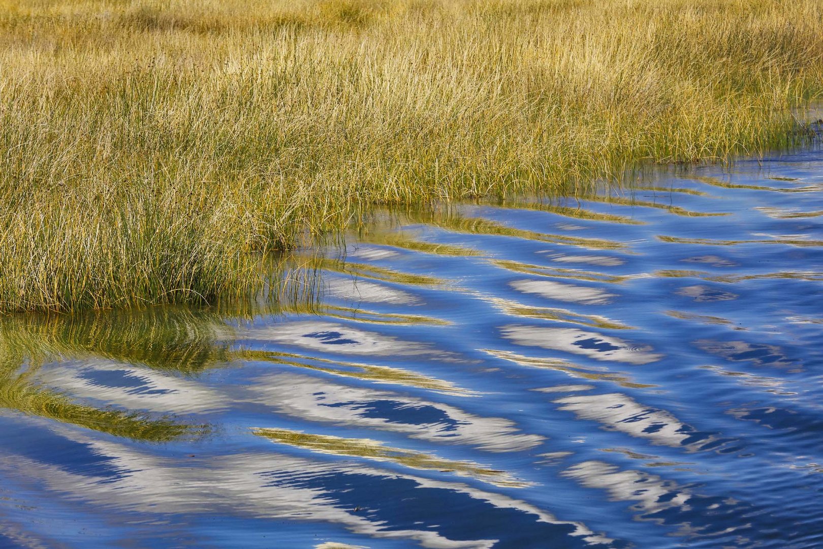   Titicaca - Totora 