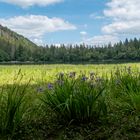 Titisee