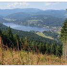 Titisee