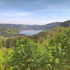 Titisee