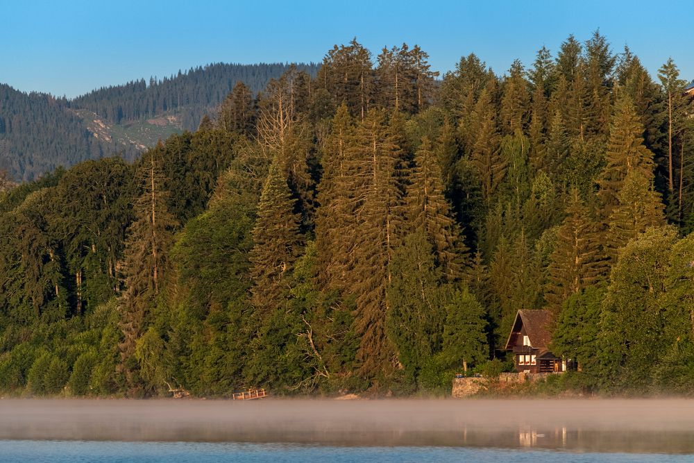 Titisee