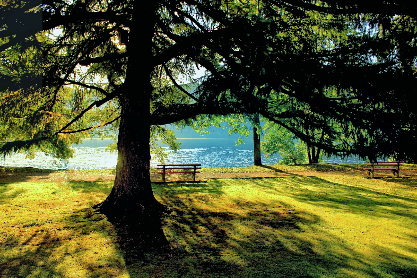 Titisee 