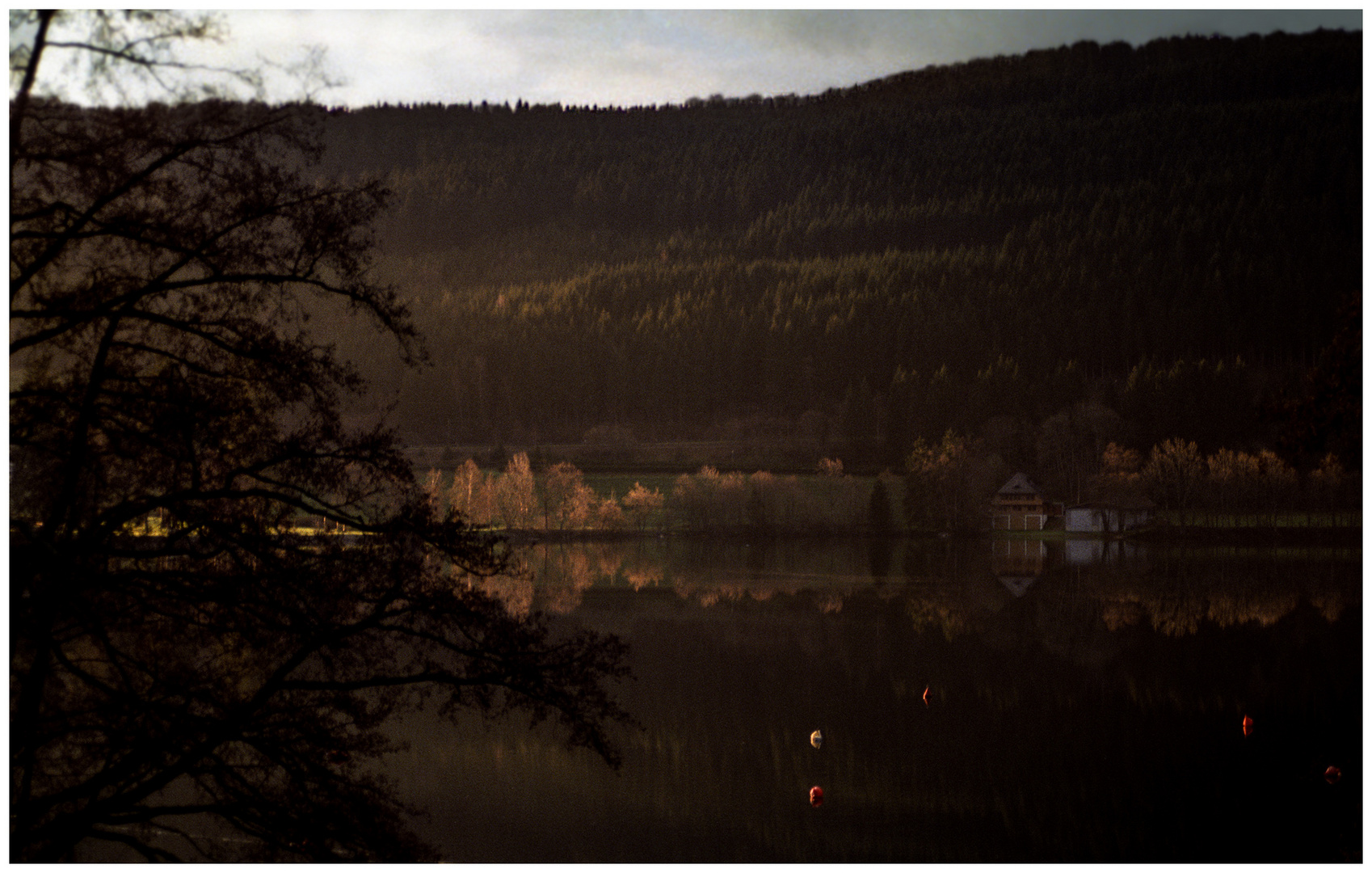 Titisee