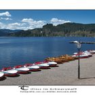 Titisee