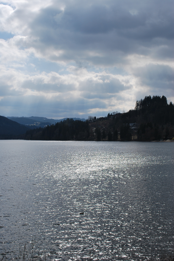 Titisee