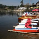 Titisee