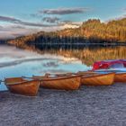 Titisee ( Foresta Nera )